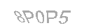 Güvenlik Kodu