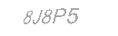 Güvenlik Kodu