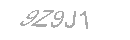Güvenlik Kodu