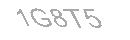 Güvenlik Kodu