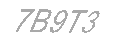 Güvenlik Kodu