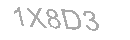 Güvenlik Kodu