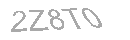 Güvenlik Kodu