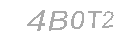 Güvenlik Kodu