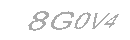 Güvenlik Kodu