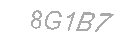 Güvenlik Kodu