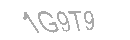Güvenlik Kodu