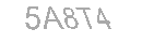 Güvenlik Kodu