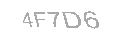 Güvenlik Kodu