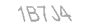 Güvenlik Kodu