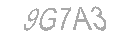 Güvenlik Kodu