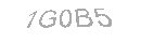 Güvenlik Kodu