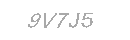 Güvenlik Kodu