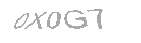 Güvenlik Kodu