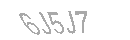 Güvenlik Kodu