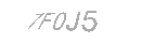 Güvenlik Kodu