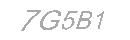 Güvenlik Kodu
