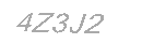 Güvenlik Kodu