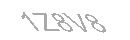 Güvenlik Kodu