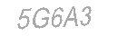 Güvenlik Kodu