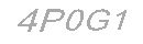 Güvenlik Kodu