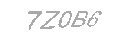Güvenlik Kodu