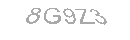 Güvenlik Kodu