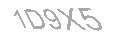 Güvenlik Kodu