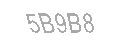 Güvenlik Kodu