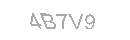 Güvenlik Kodu