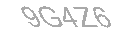 Güvenlik Kodu