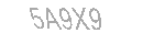 Güvenlik Kodu