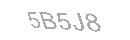 Güvenlik Kodu