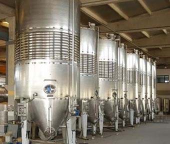 Armut Konikli Fermentasyon Tankı TKN90