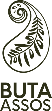 Buta Assos