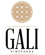 Gali Wines